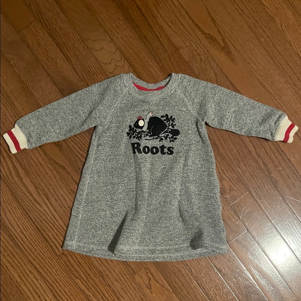 Roots Gray Long Sleeve Roots Dress, no rips or stains 
12-18 months